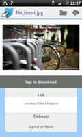Fileboost capture d'écran 1