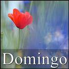 Domingo 圖標