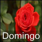 Domingo أيقونة