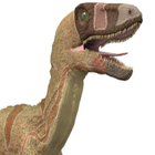 Dinosaur Team 3D Action Free 图标