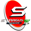 Stragus 507