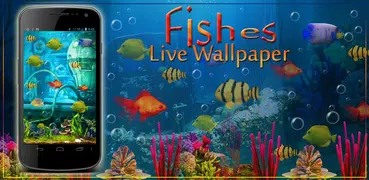 Fishes Live Wallpaper 2021 - Aquarium Koi Bgs