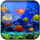 APK Fishes Live Wallpaper 2021 - Aquarium Koi Bgs