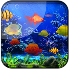 Fishes Live Wallpaper icône