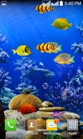 Fishes Live Wallpaper Plakat