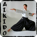 Aprender aikido y artes marcia APK