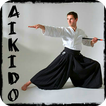 Learn aikido and martial arts