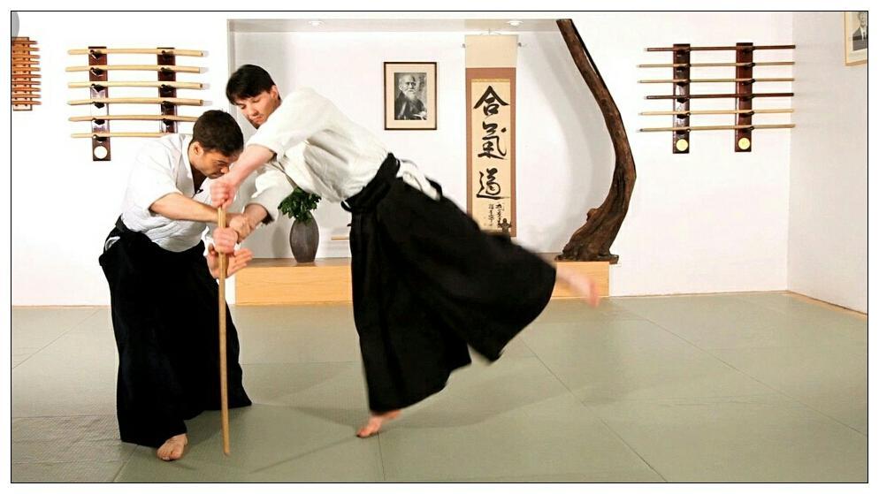 Learn aikido and martial arts APK for Android Download