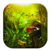 Fish Tank HD Wallpapers App