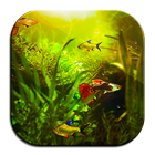Fish Tank HD Wallpapers App icône