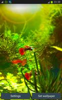 Fish Tank HD Wallpapers App poster