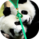 APK Panda Zipper Lock Screen