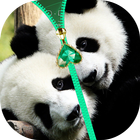 Panda Zipper Lock Screen 图标