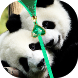 Panda Zipper Lock Screen ícone