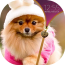 Puppy Zipper Lock Screen APK