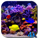 Aquarium 4K Video Wallpaper APK