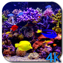 Aquarium Fond d'écran animé APK