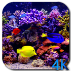 Aquarium 4K Video Wallpaper biểu tượng