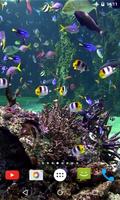 Aquarium 4K Video Wallpaper ポスター