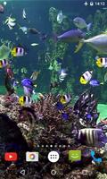 Aquarium 4K Video Wallpaper اسکرین شاٹ 1