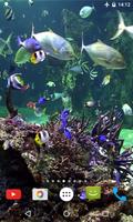 Aquarium 4K Video Wallpaper স্ক্রিনশট 2
