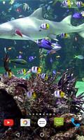 Aquarium 4K Video Wallpaper ảnh chụp màn hình 3