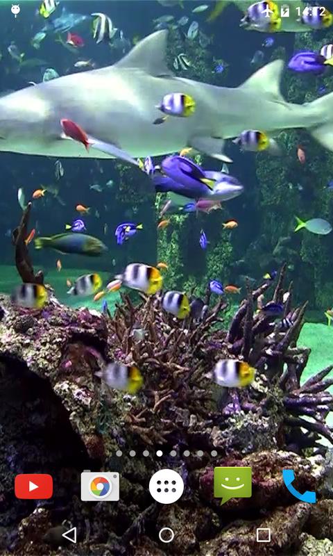 Aquarium 4K Video Wallpaper for Android - APK Download