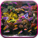 Aquarium Video Live Wallpaper APK