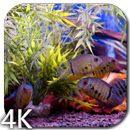 Aquarium Video Wallpaper APK