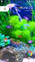 Amazing Aquarium HD FREE Wallpaper 截图 3