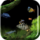 Aquarium 2015 Live Wallpaper icon