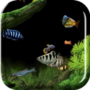 Aquarium 2015 Live Wallpaper APK