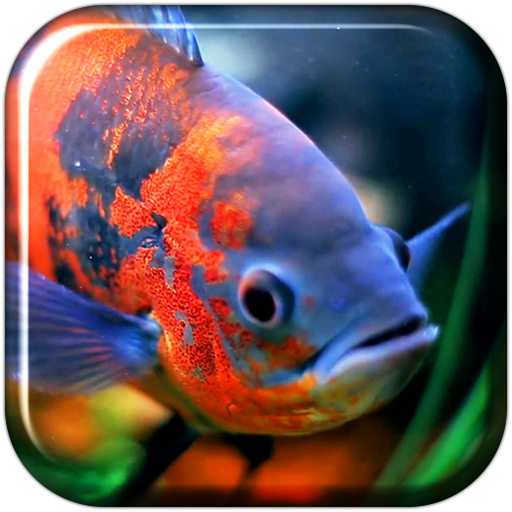 Aquarium 3D. Video Wallpaper