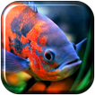 Aquarium 3D. Video Wallpaper