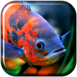Aquarium 3D. Video-Wallpaper