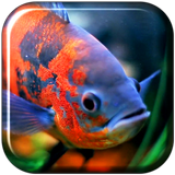 Aquarium 3D Fond d'écran vidéo icône