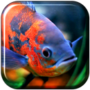 Aquarium 3D Fond d'écran vidéo APK