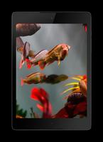 Aquarium 3D capture d'écran 2