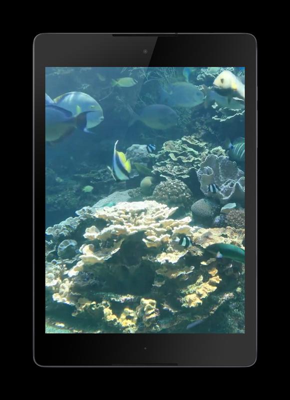 video aquarium download The experimental set-up showing the aquarium bolted to the.