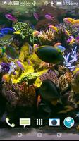 Aquarium Video Wallpaper Affiche