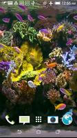 Aquarium Video Wallpaper syot layar 2