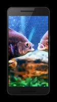 Aquarium Live Wallpaper capture d'écran 1