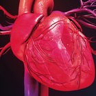Cardiometabolismo icône