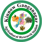 آیکون‌ KinnowGanganagar