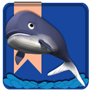 Arphabet Flashcards APK