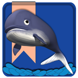 Arphabet Flashcards
