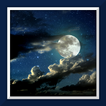 clair de lune live wallpaper