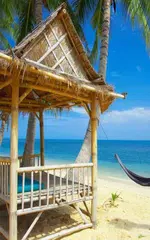 Beach Live Wallpaper APK download