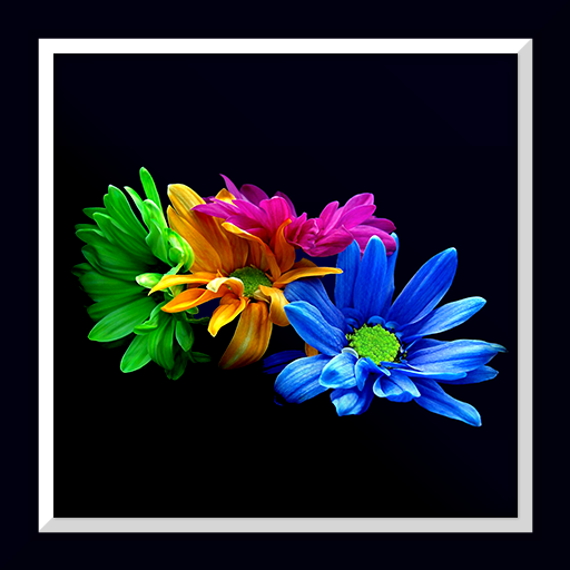 Flowers Live Wallpaper