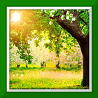 Garden Live Wallpaper আইকন